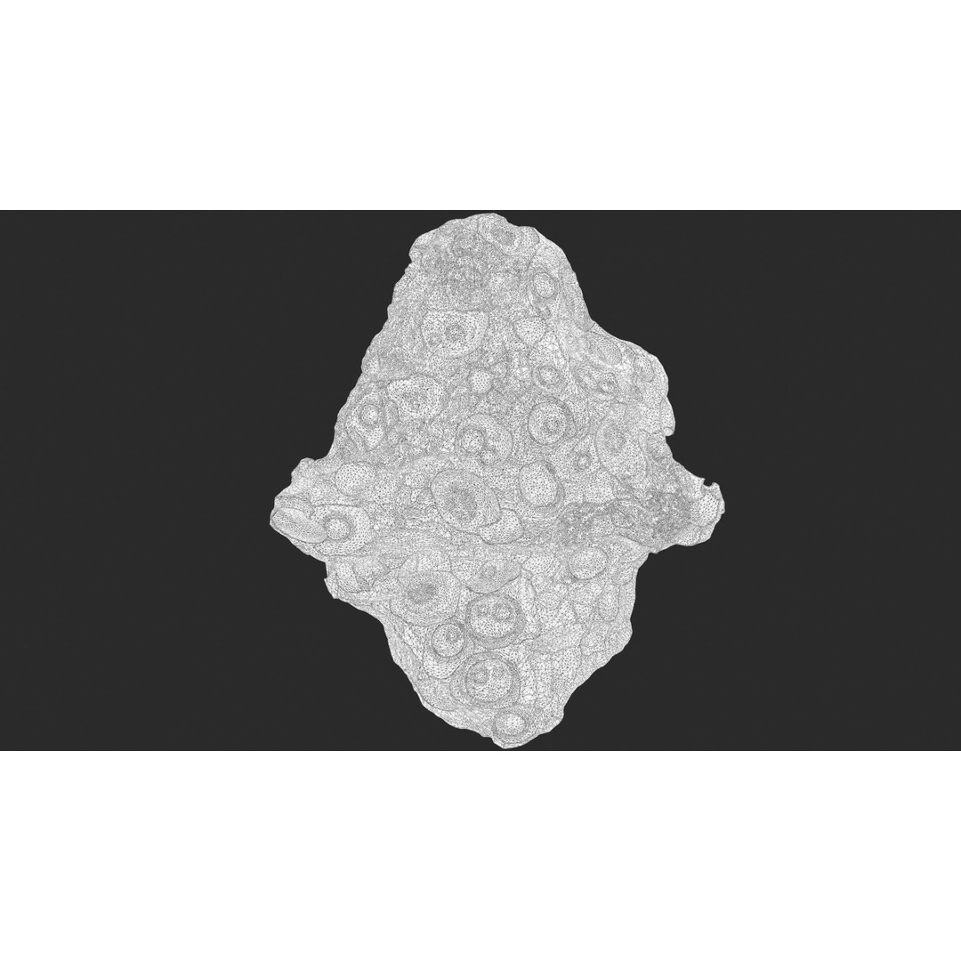 Asteroids 3D Model – Space Bundle with PBR Textures, FBX & OBJ - View 56