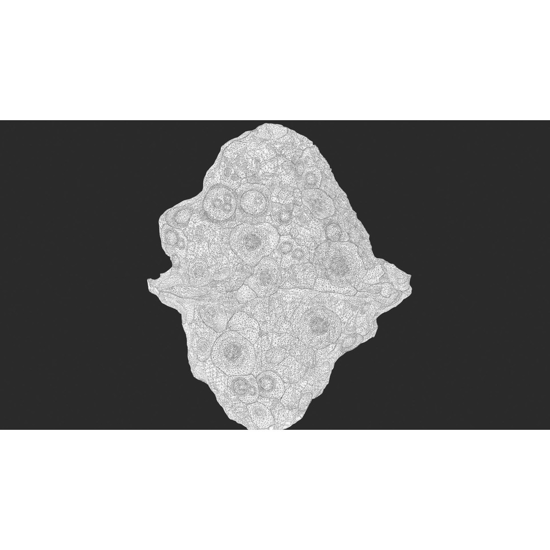 Asteroids 3D Model – Space Bundle with PBR Textures, FBX & OBJ - View 57
