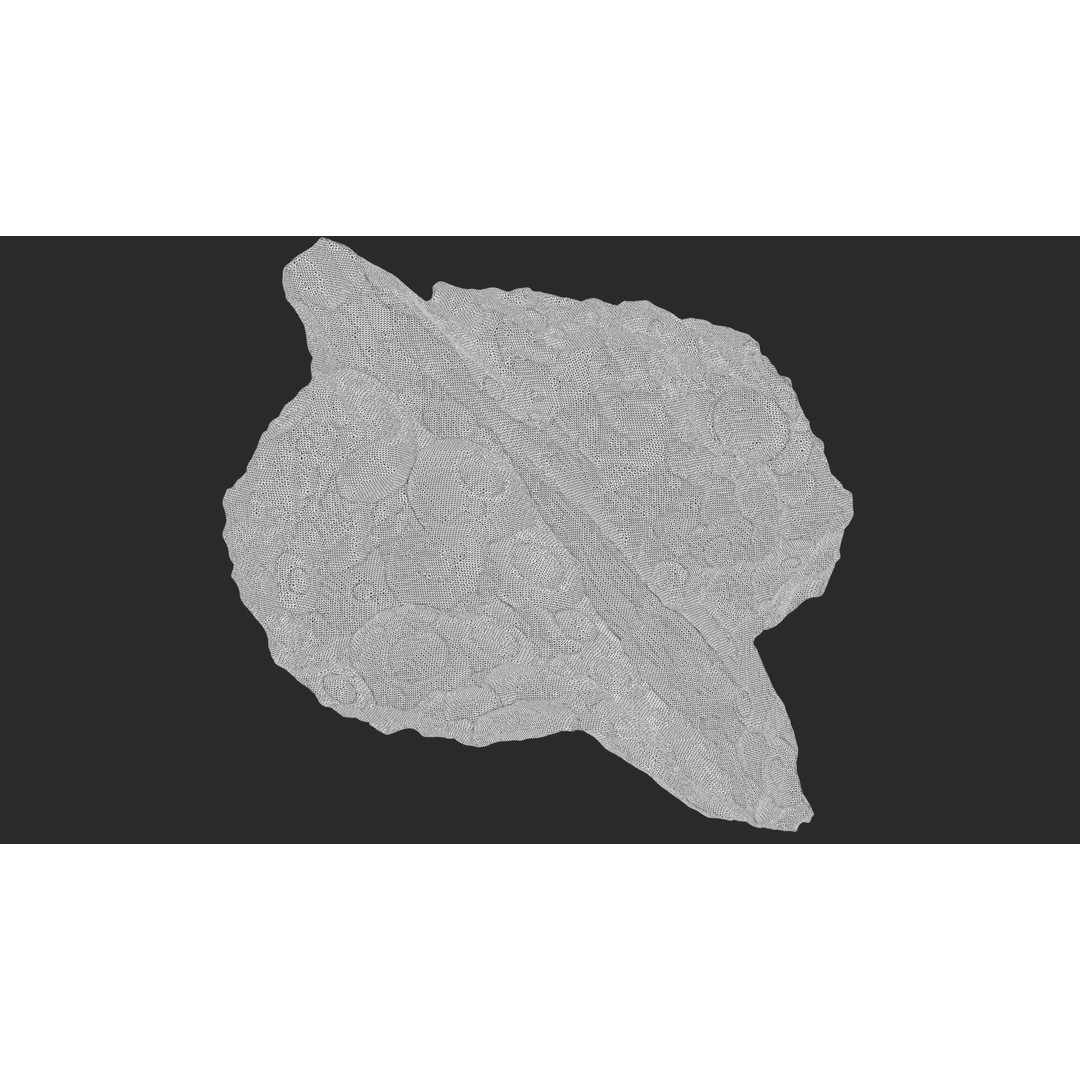 Asteroids 3D Model – Space Bundle with PBR Textures, FBX & OBJ - View 8