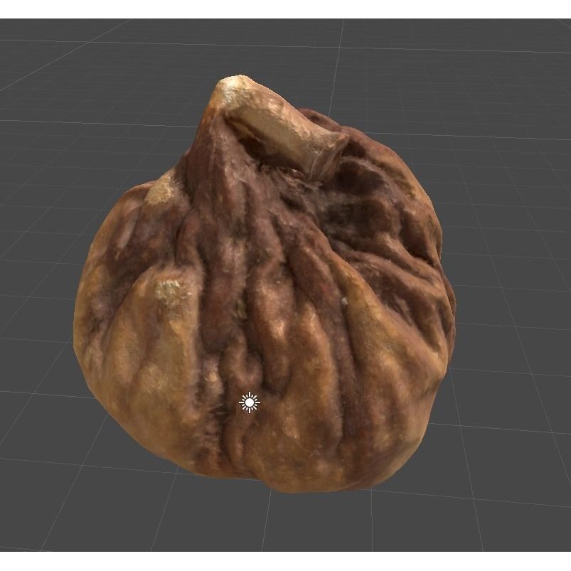 Ficus carica Linn 3D Model – Low Poly Game Asset, PBR Textures
