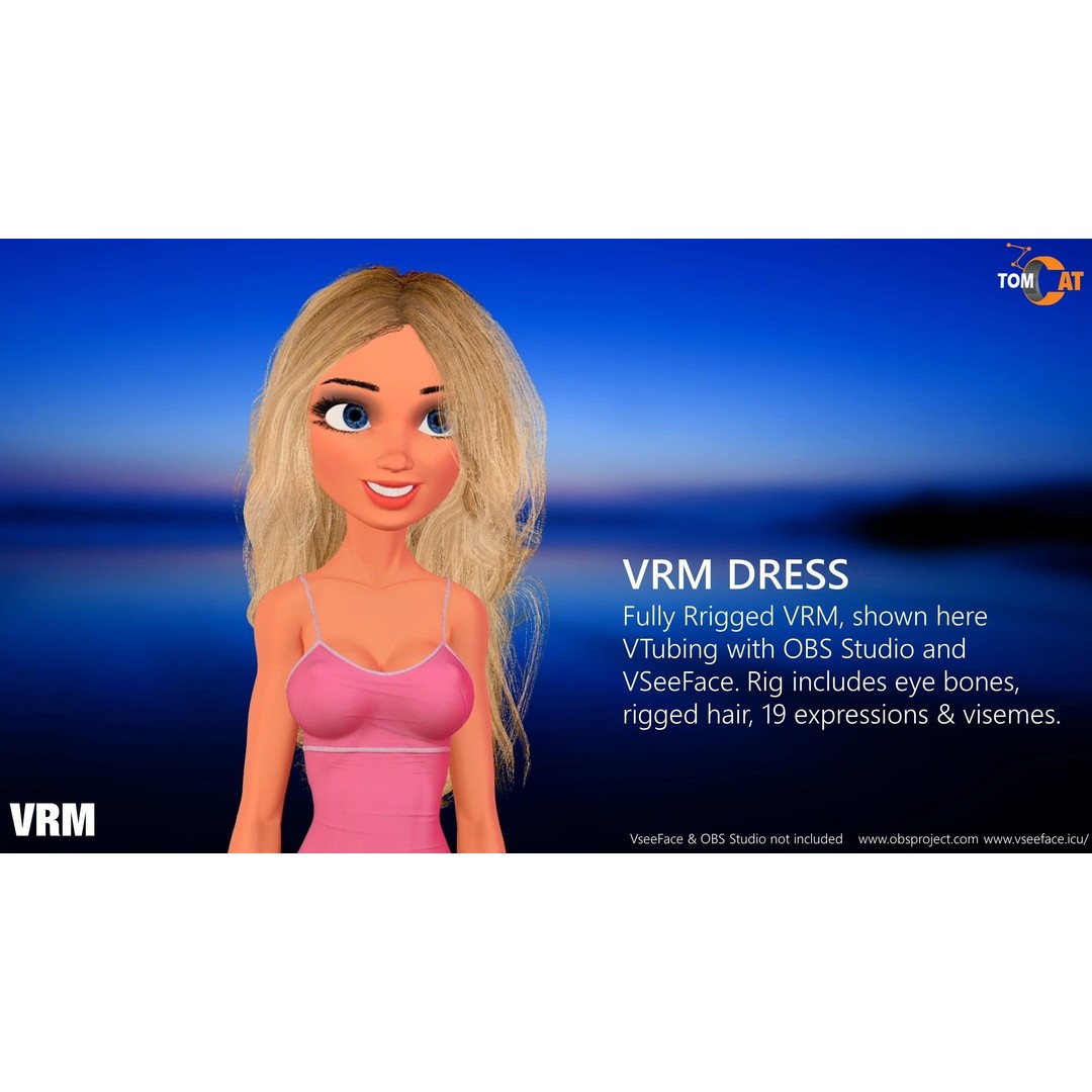 California Girl 3D Model – Rigged Character for Blender & Vtubing - View 14