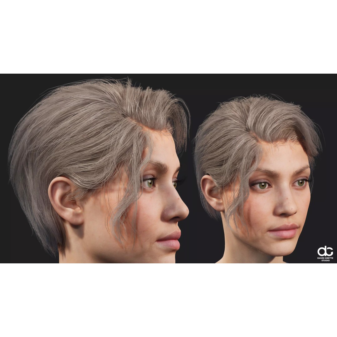 Realistic Female Hairstyles 3D Model – Low Poly Game-Ready Pack, FBX - View 16