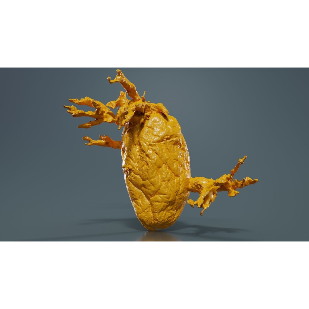 Shriveled Potato 3D Model – Low Poly Game Asset, FBX, Blender - View 15