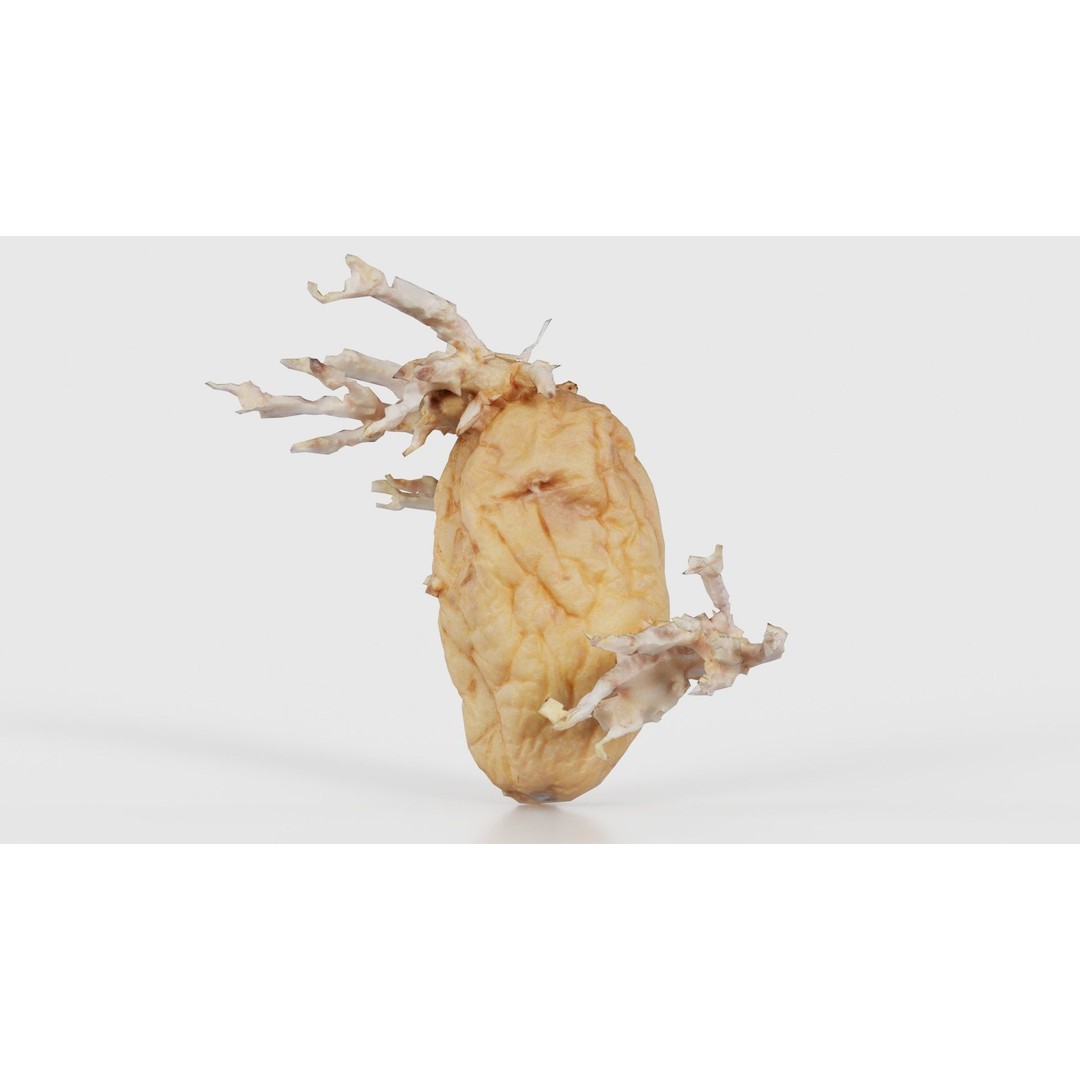 Shriveled Potato 3D Model – Low Poly Game Asset, FBX, Blender - View 22