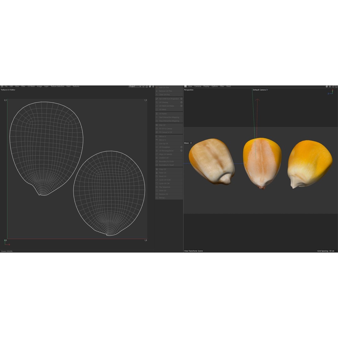 Coorn Seeds 3D Model – Low Poly Game Asset, Blender, FBX, OBJ - View 11