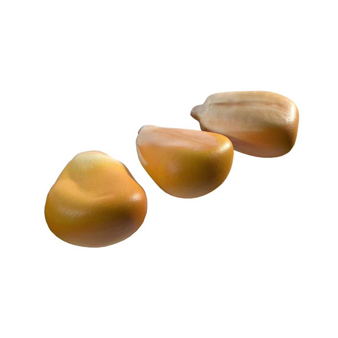 Coorn Seeds 3D Model – Low Poly Game Asset, Blender, FBX, OBJ - View 8