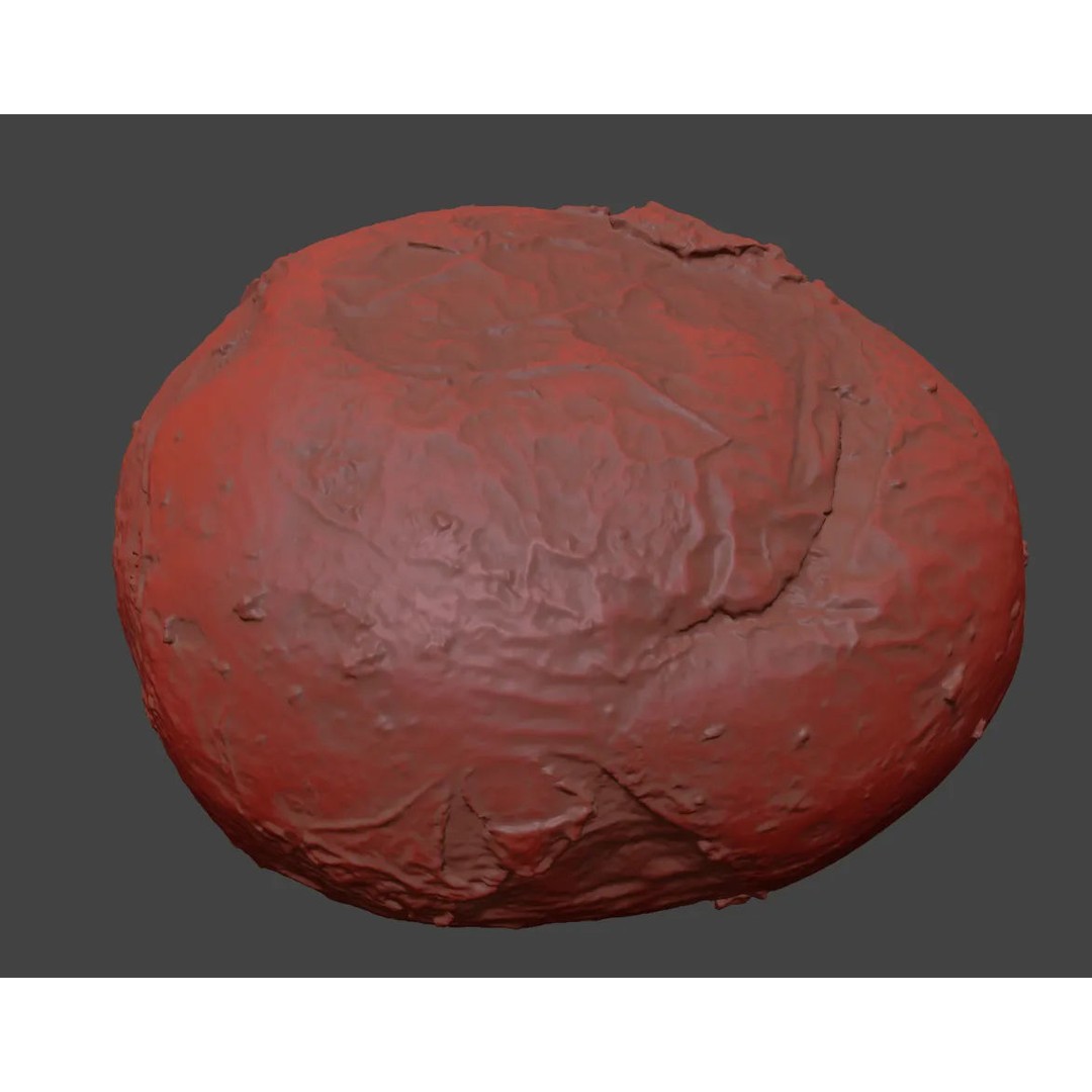 Photorealistic Potato 3D Model – High Poly PBR Asset, FBX, OBJ - View 9