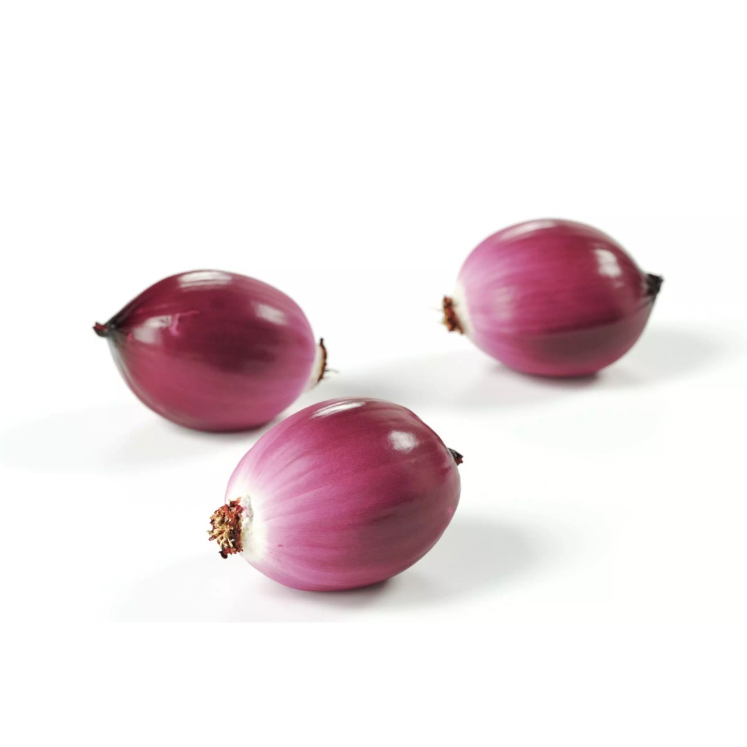 Peeled Red Onion 3D Model – Detailed PBR Asset, FBX, OBJ - View 2