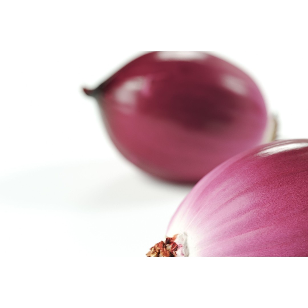 Peeled Red Onion 3D Model – Detailed PBR Asset, FBX, OBJ - View 3