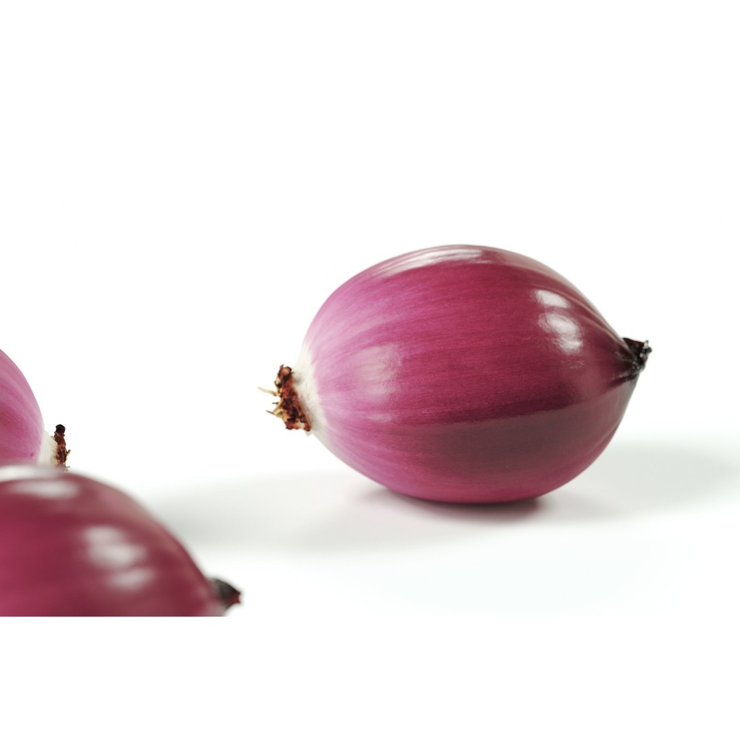 Peeled Red Onion 3D Model – Detailed PBR Asset, FBX, OBJ - View 4