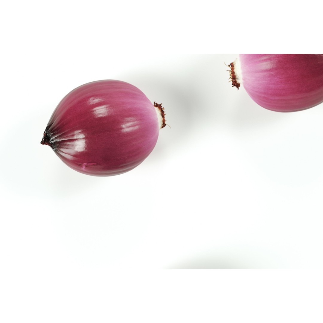 Peeled Red Onion 3D Model – Detailed PBR Asset, FBX, OBJ - View 5