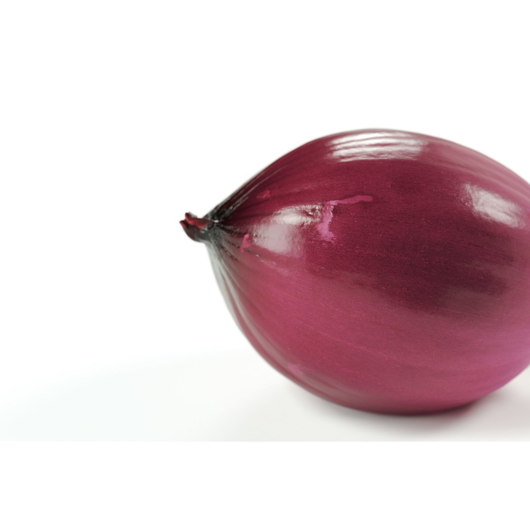 Peeled Red Onion 3D Model – Detailed PBR Asset, FBX, OBJ - View 6