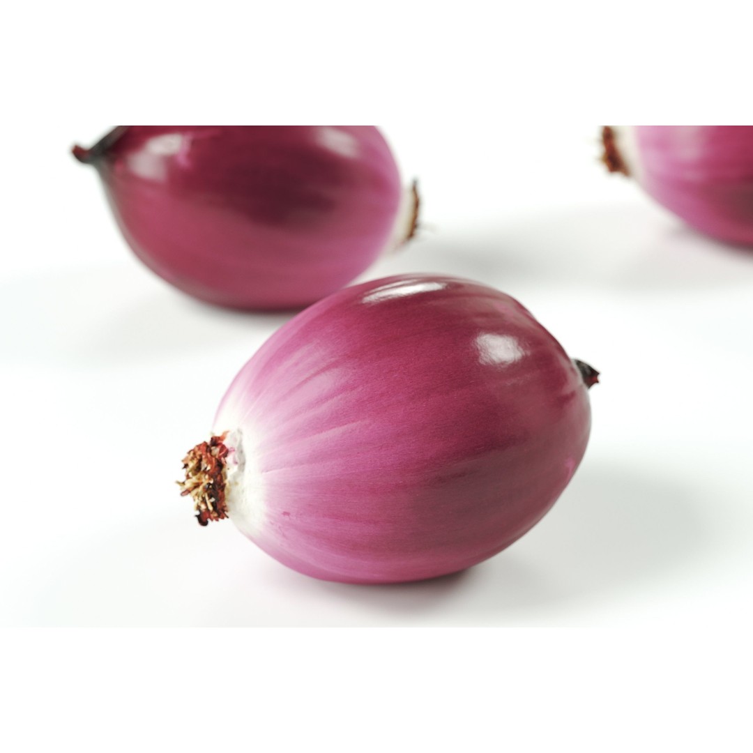 Peeled Red Onion 3D Model – Detailed PBR Asset, FBX, OBJ - View 7