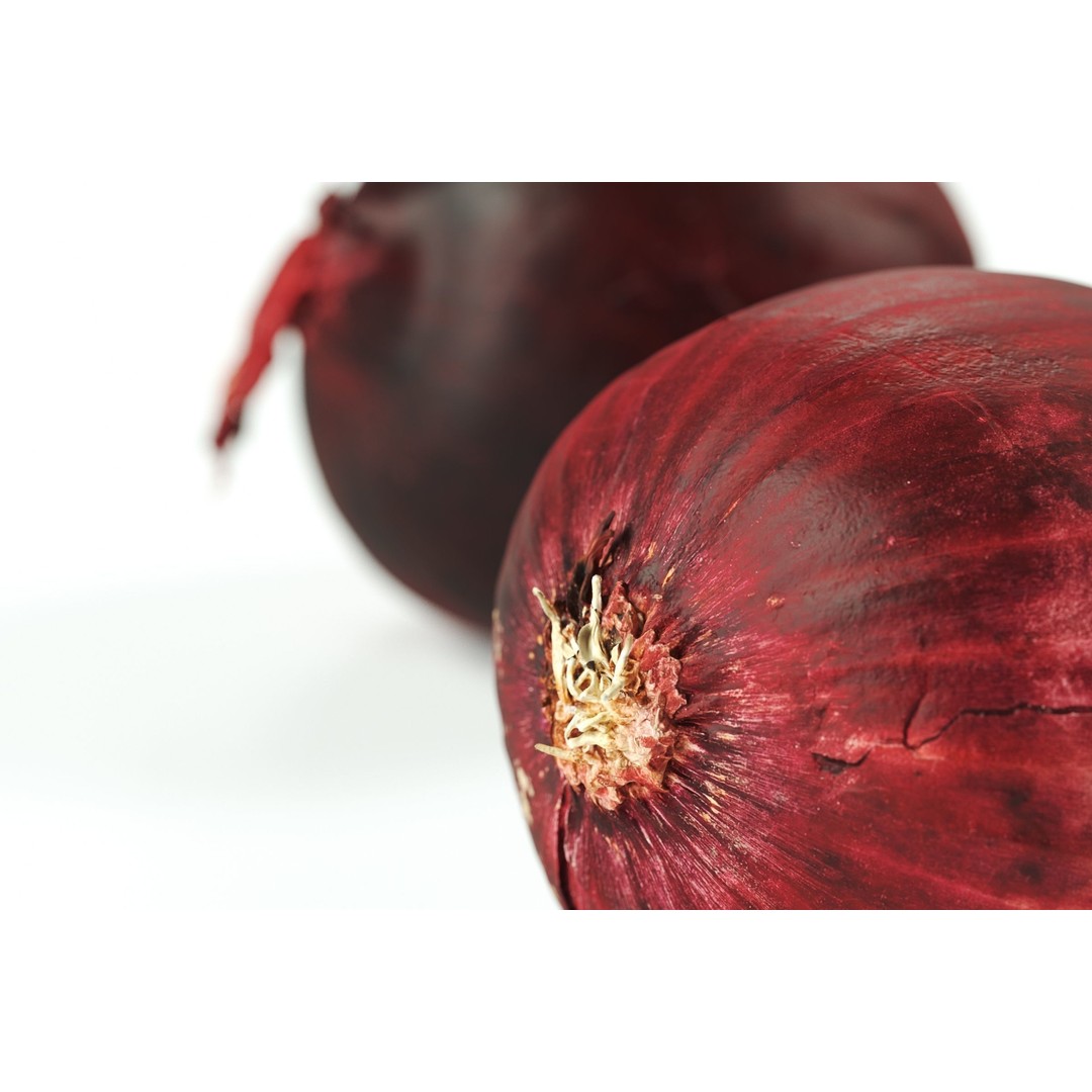 Red Onion 3D Model – Raw Vegetable with 8K Textures, FBX, OBJ - View 3