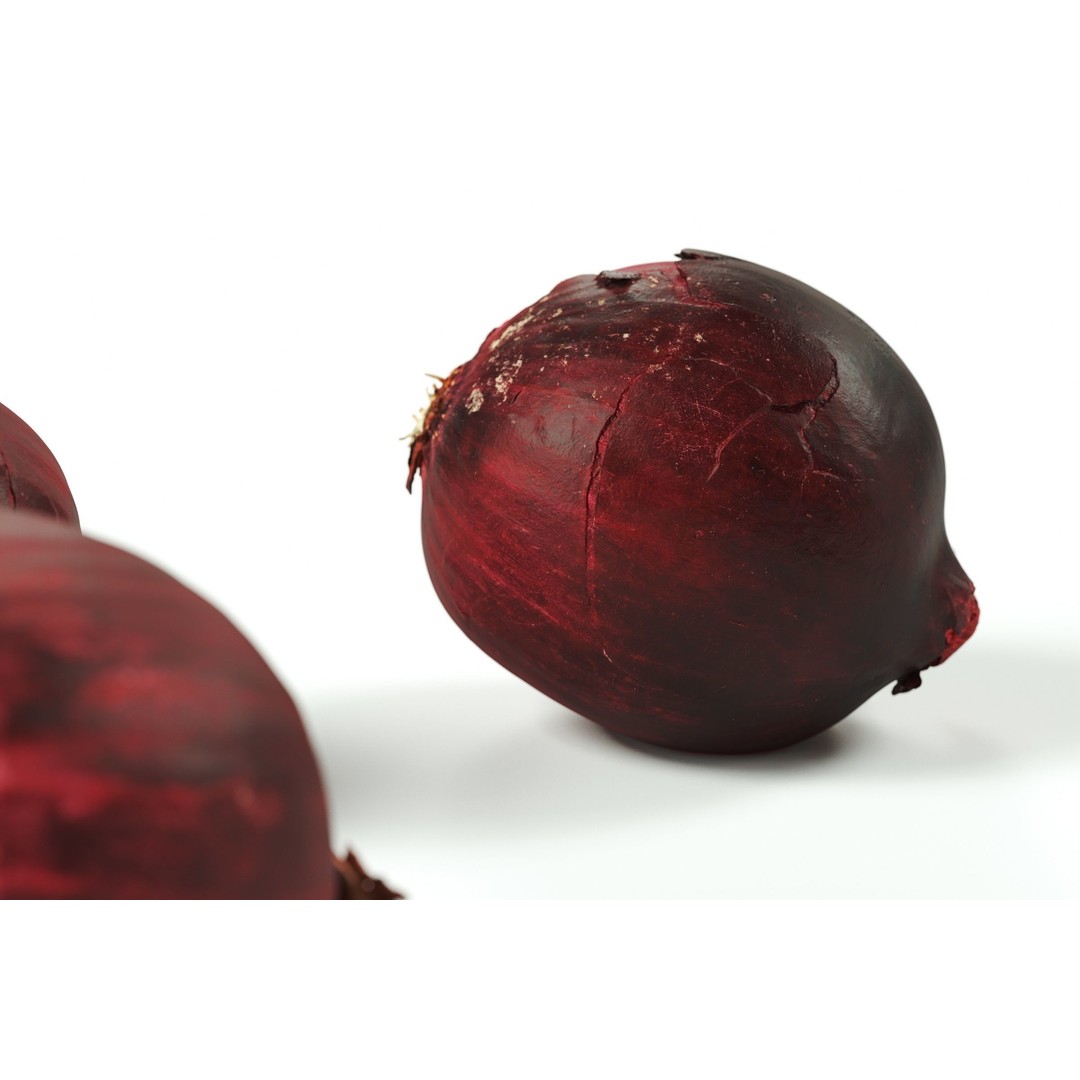 Red Onion 3D Model – Raw Vegetable with 8K Textures, FBX, OBJ - View 4
