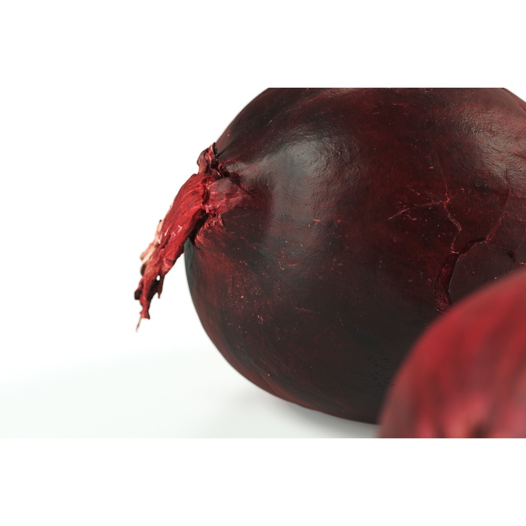 Red Onion 3D Model – Raw Vegetable with 8K Textures, FBX, OBJ - View 6