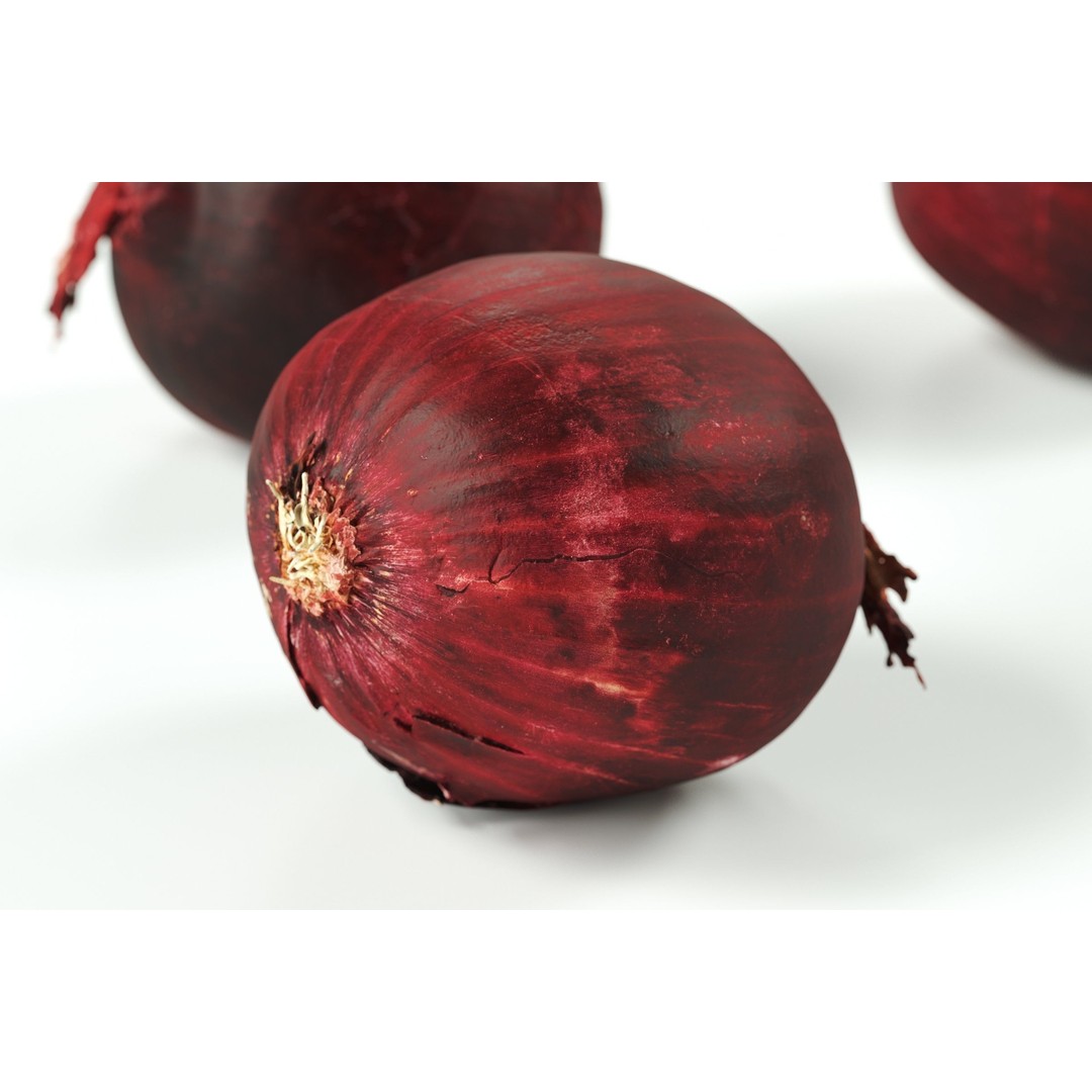 Red Onion 3D Model – Raw Vegetable with 8K Textures, FBX, OBJ - View 7
