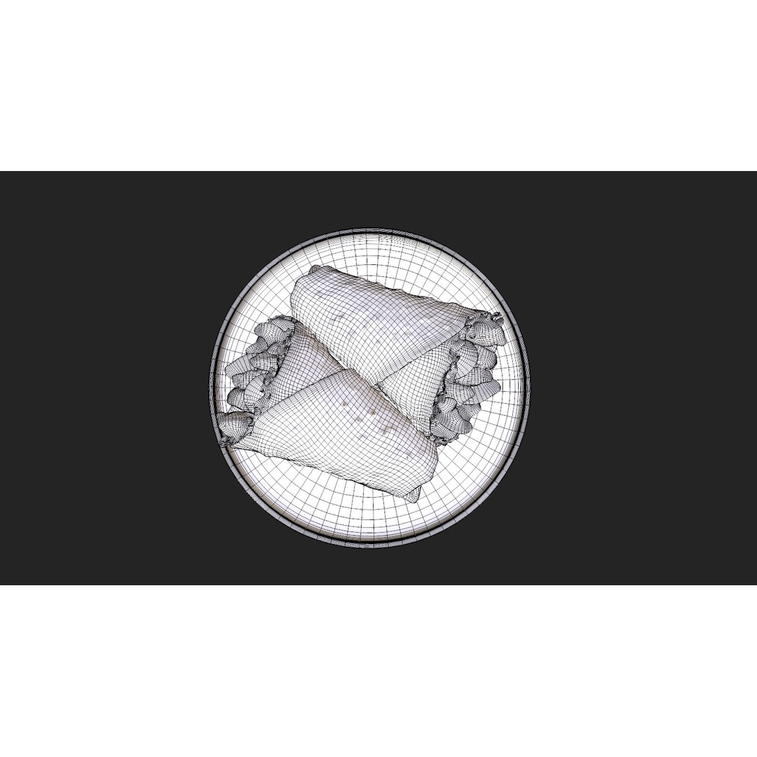 Shawarma Burrito Grilled Kebab 3D Model – Low Poly PBR Food Asset, FBX, OBJ - View 24
