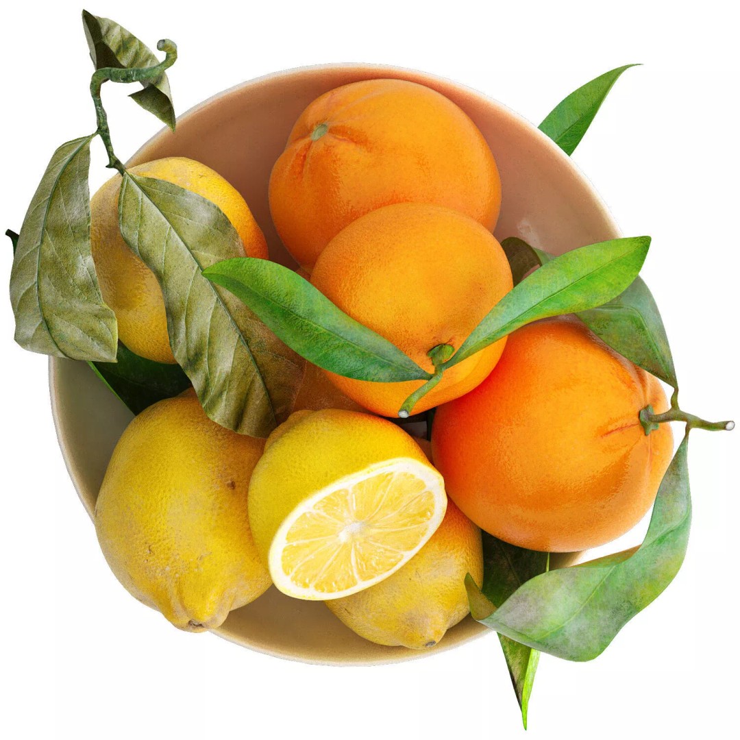 Bowl of Yellow Lemon and Orange Fruit 3D Model – PBR Textured, OBJ/FBX Formats - View 4