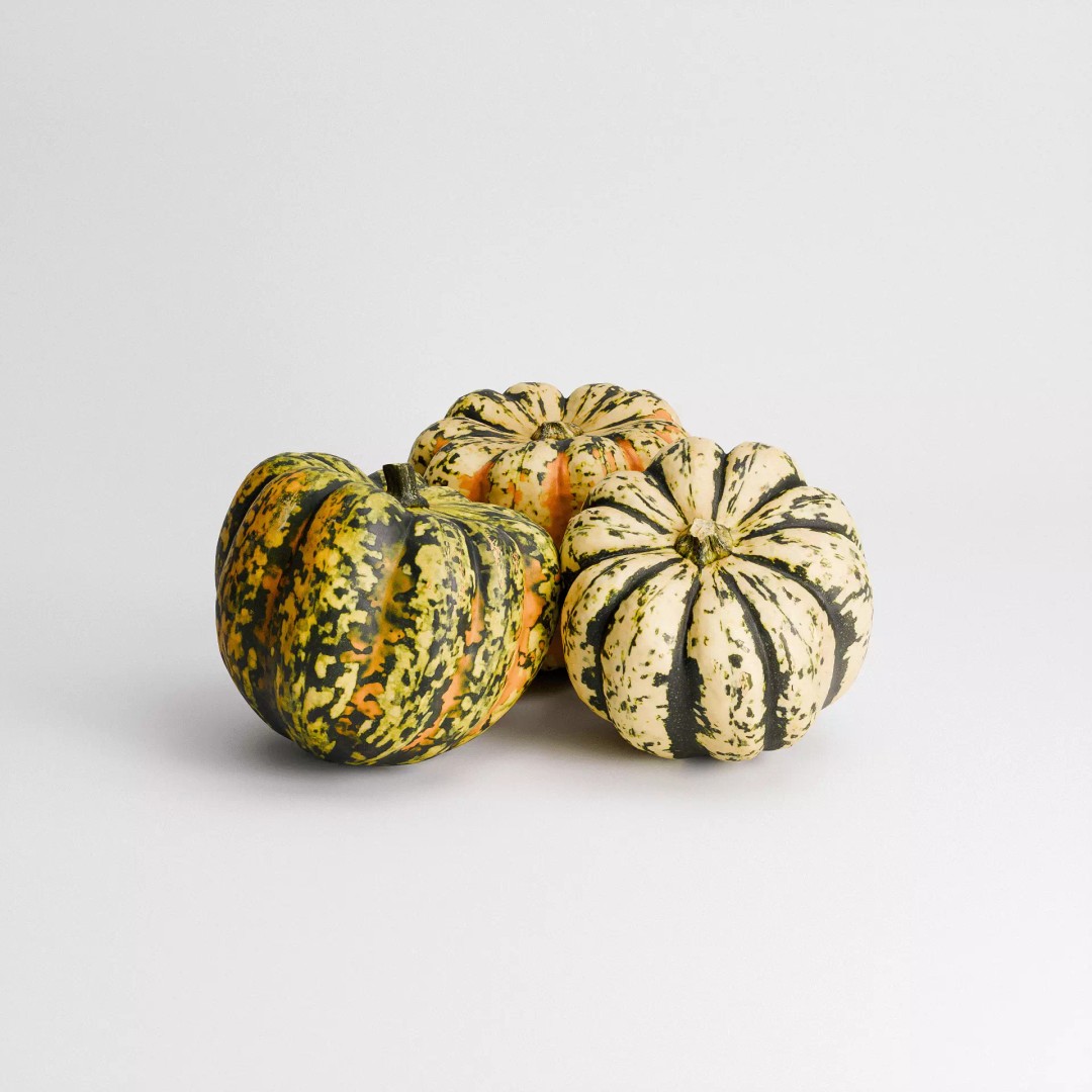 Carnival Squash 3D Model – Low Poly PBR Textured Game Asset, FBX - View 5