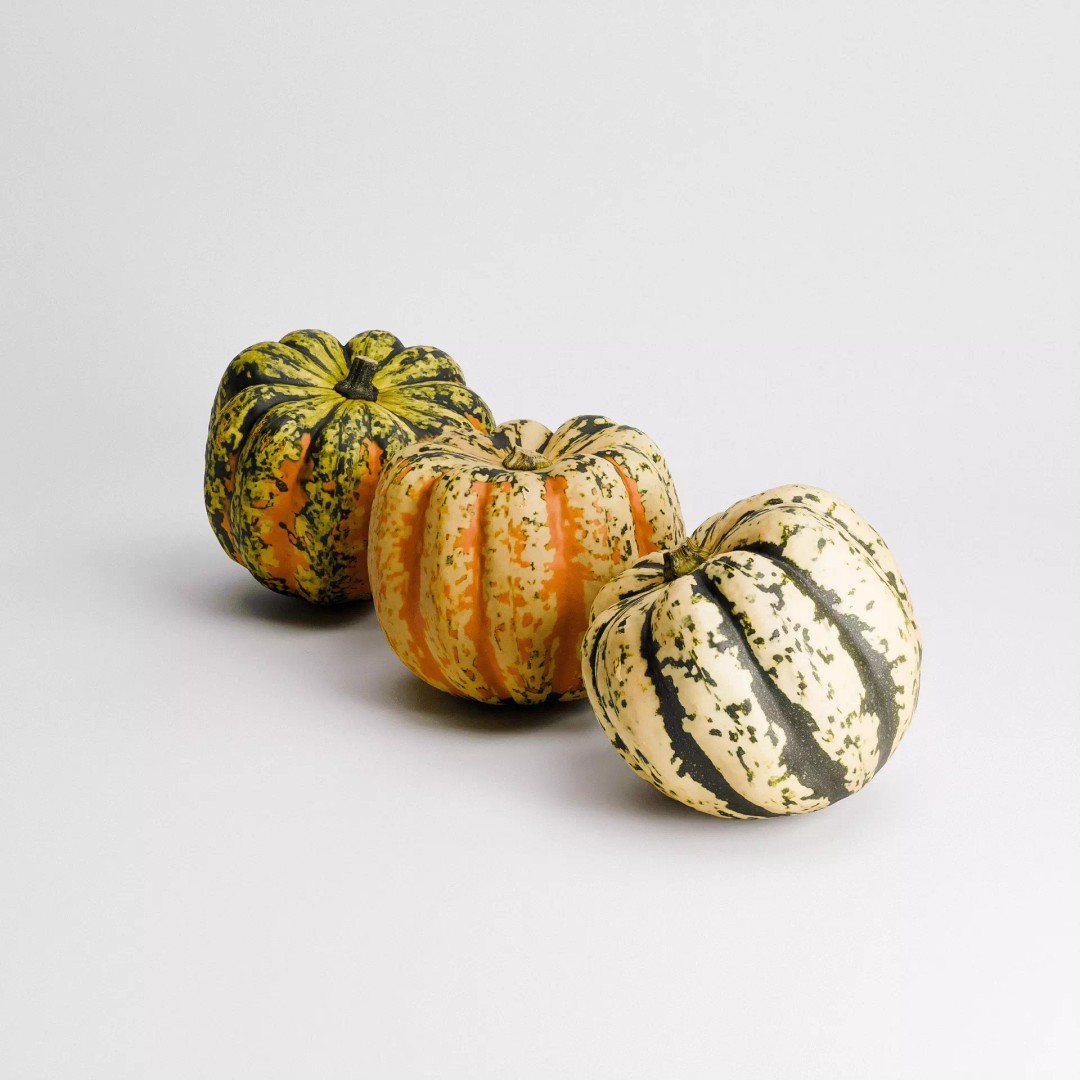 Carnival Squash 3D Model – Low Poly PBR Textured Game Asset, FBX - View 6