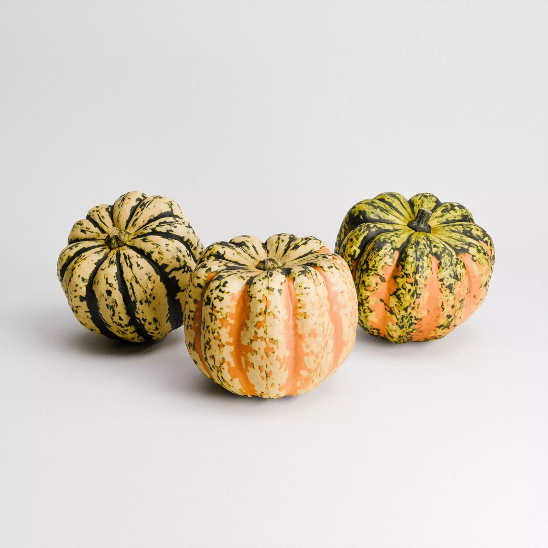 Carnival Squash 3D Model – Low Poly PBR Textured Game Asset, FBX - View 7