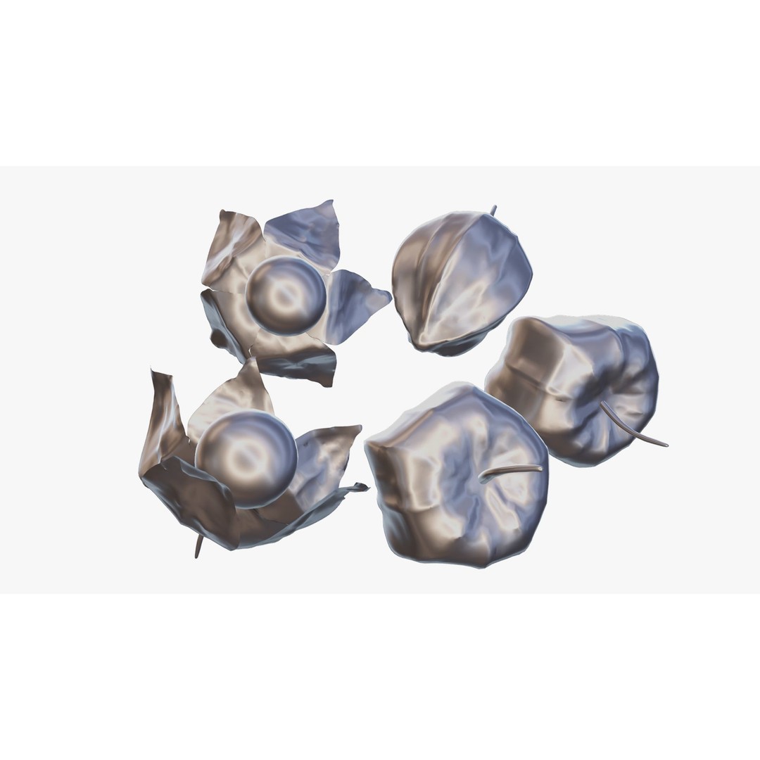 Alkekengi Officinarum 3D Model – Realistic PBR Textures, FBX, OBJ