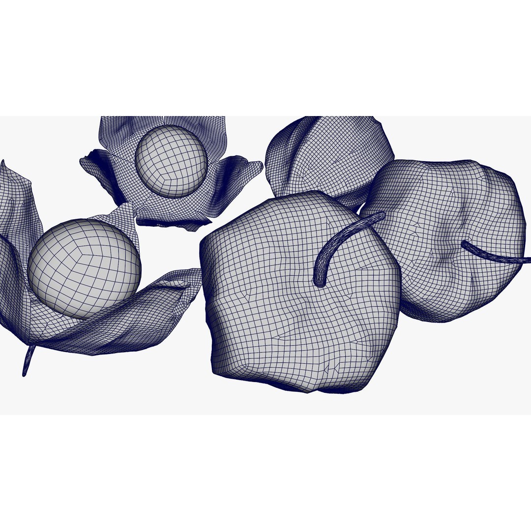 Alkekengi Officinarum 3D Model – Realistic PBR Textures, FBX, OBJ - View 24