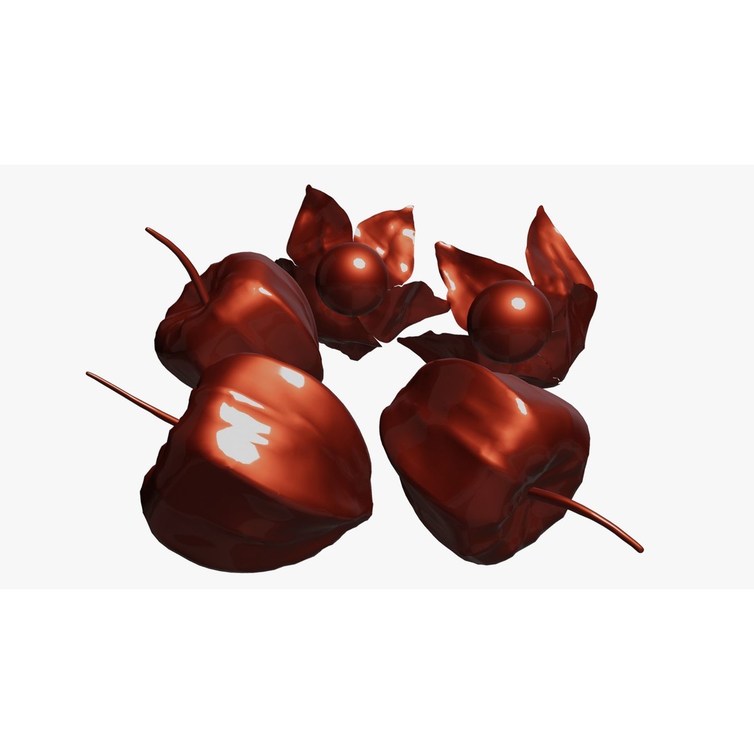 Alkekengi Officinarum 3D Model – Realistic PBR Textures, FBX, OBJ - View 30