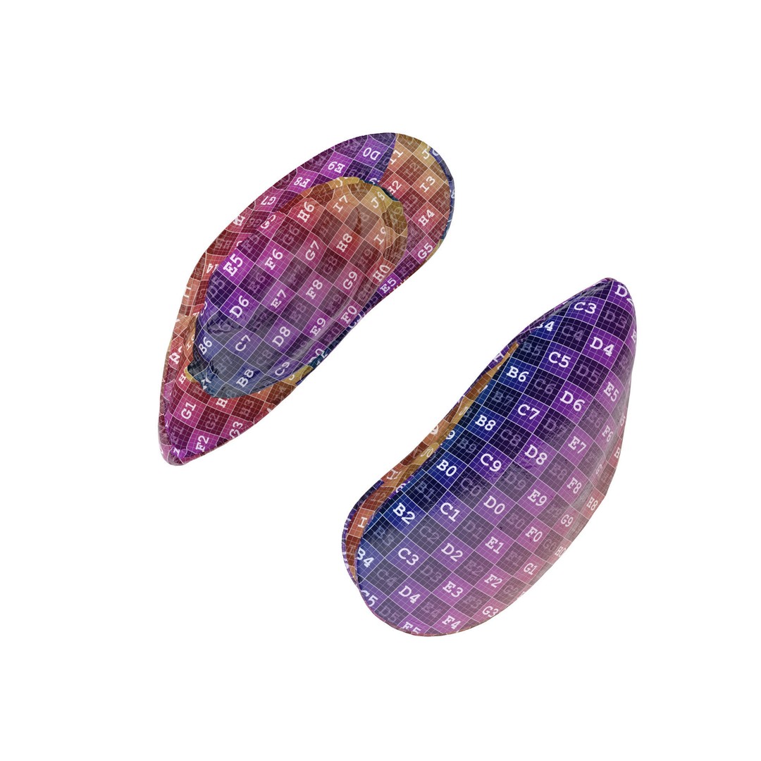 Mussel Green Shell 3D Model – High Poly Photogrammetry Asset, FBX/OBJ - View 19