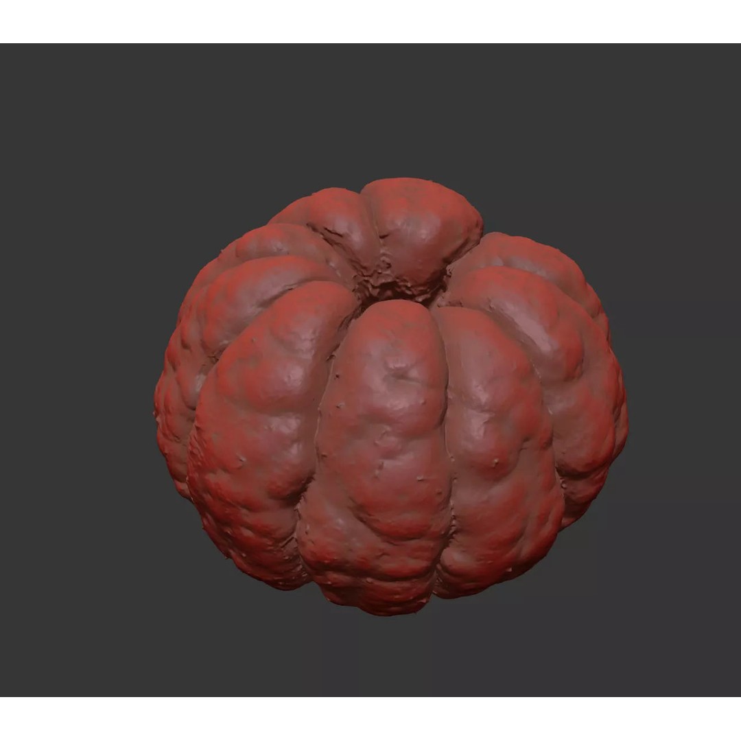 Clementine 3D Model – Photorealistic Fruit Asset, FBX, OBJ - View 9