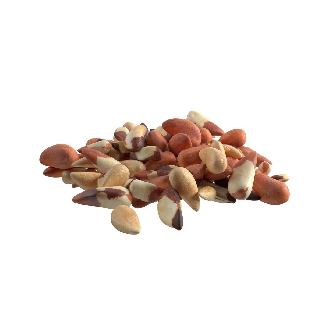 Brazilian Nuts 3D Model – Low Poly Collection, Blender, FBX, OBJ
