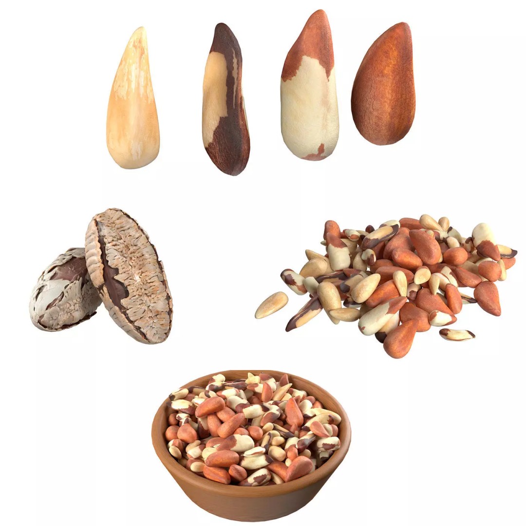 Brazilian Nuts 3D Model – Low Poly Collection, Blender, FBX, OBJ - View 2