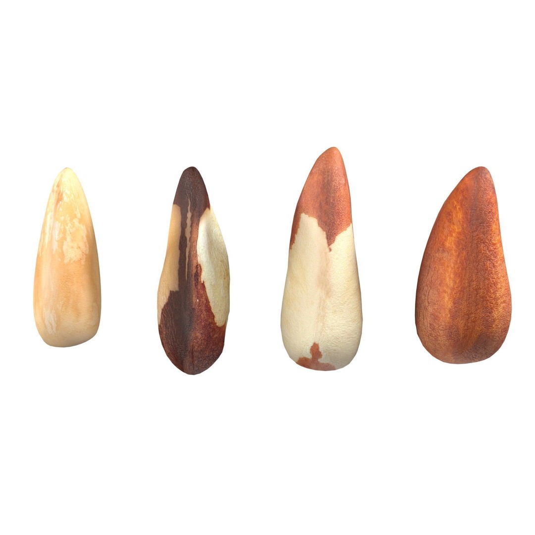 Brazilian Nuts 3D Model – Low Poly Collection, Blender, FBX, OBJ - View 6