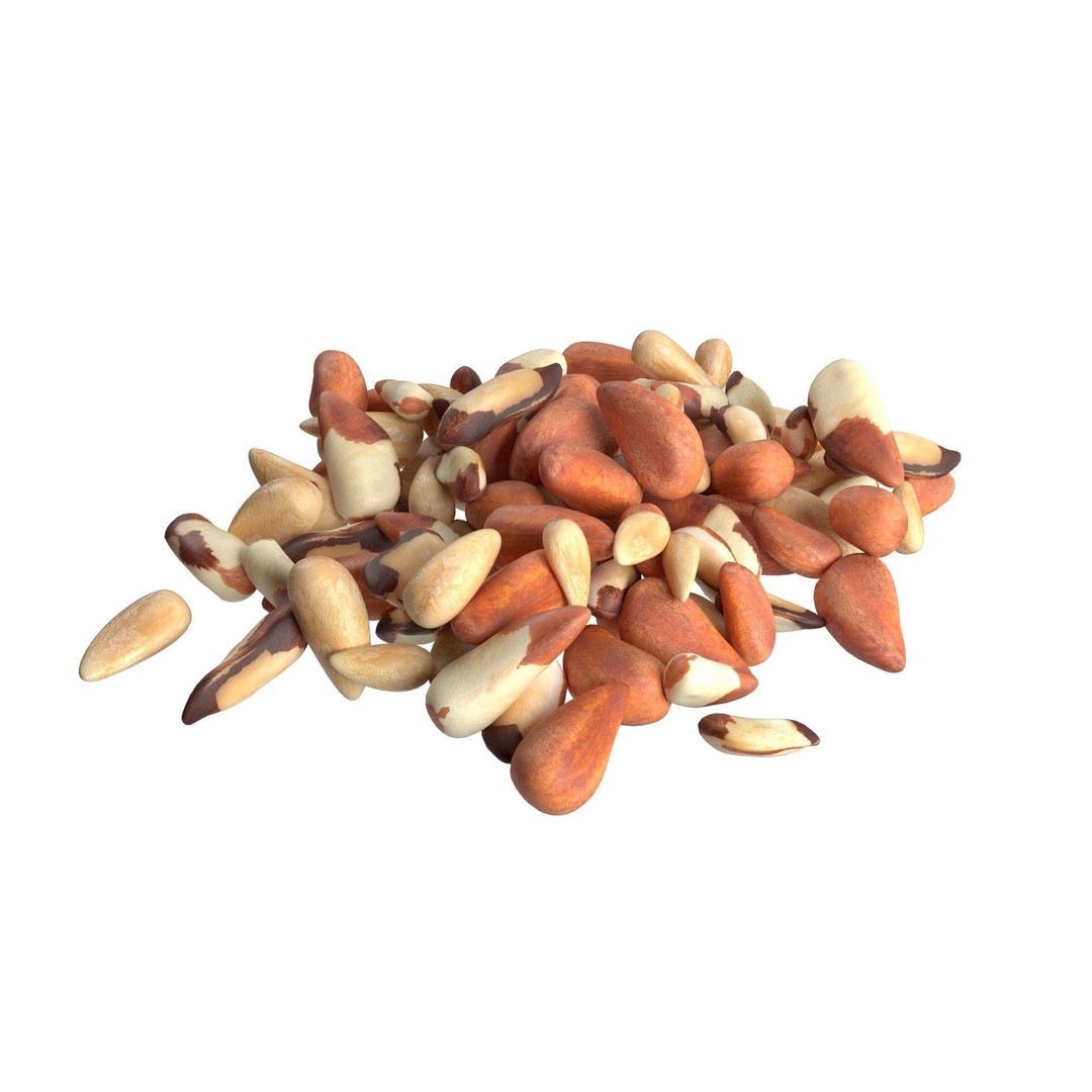 Brazilian Nuts 3D Model – Low Poly Collection, Blender, FBX, OBJ - View 9