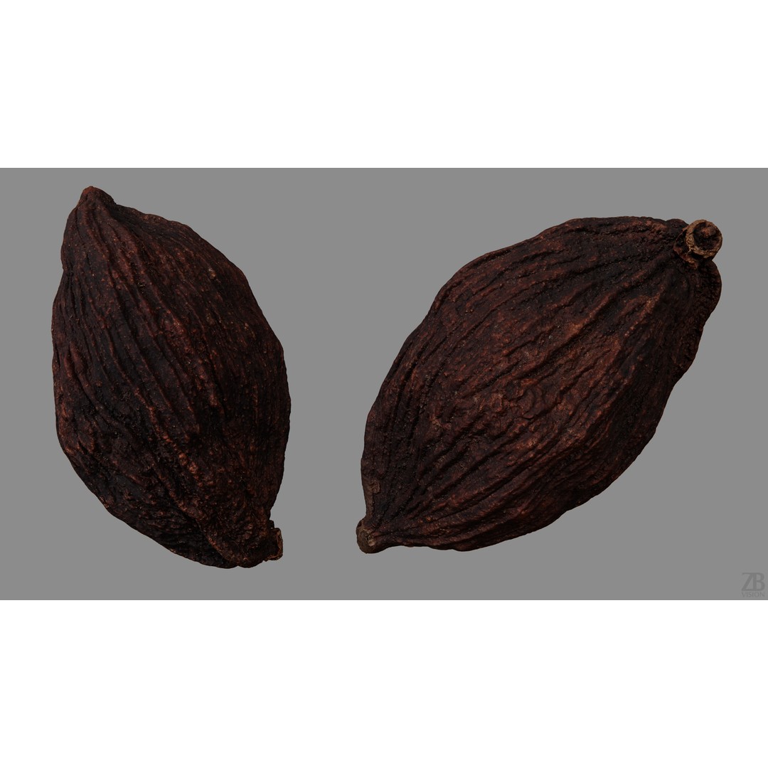 Cardamom 3D Model – Photorealistic Black Spice Asset, FBX, OBJ