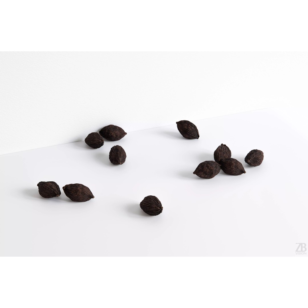 Cardamom 3D Model – Photorealistic Black Spice Asset, FBX, OBJ - View 2