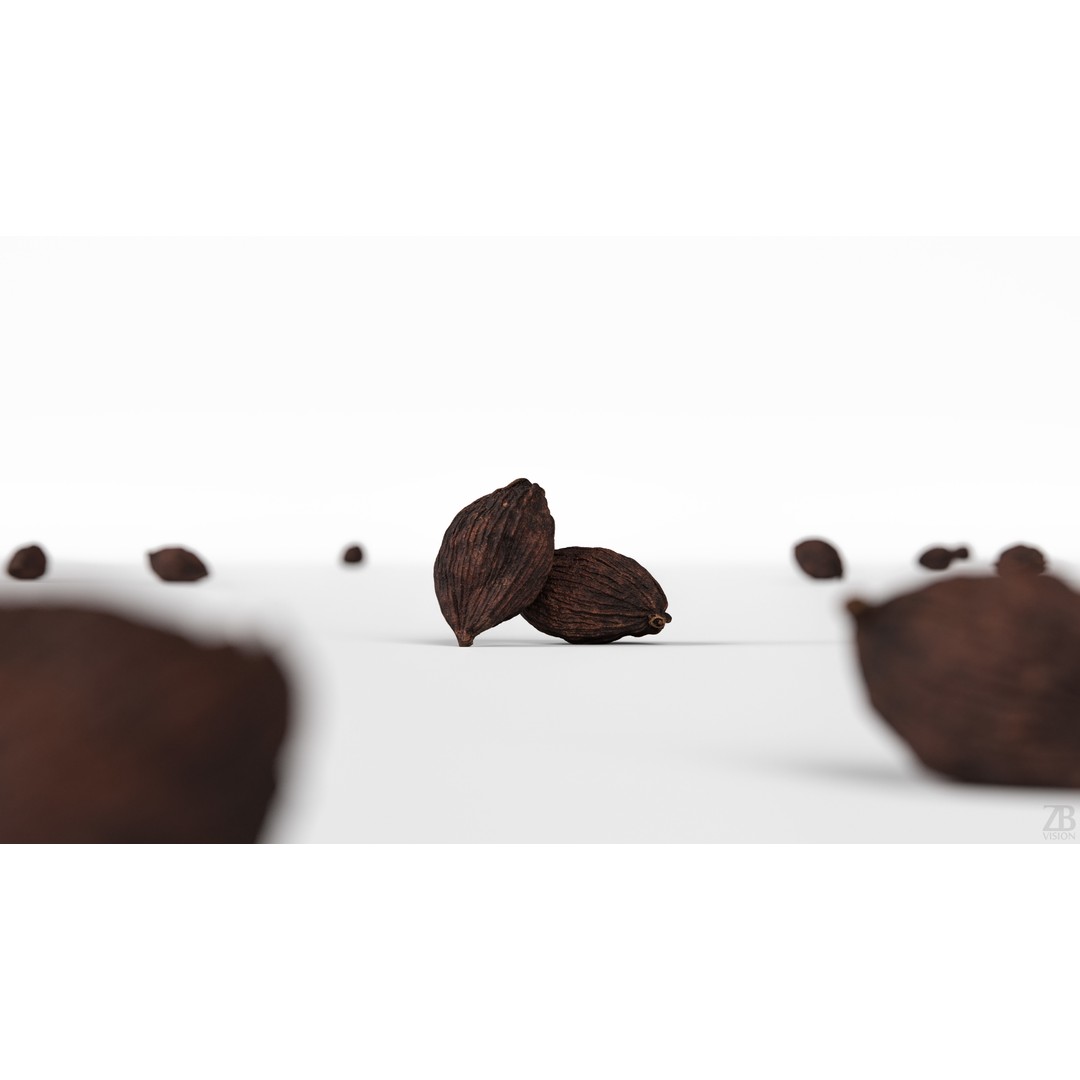Cardamom 3D Model – Photorealistic Black Spice Asset, FBX, OBJ - View 3
