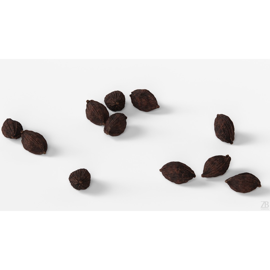 Cardamom 3D Model – Photorealistic Black Spice Asset, FBX, OBJ - View 4