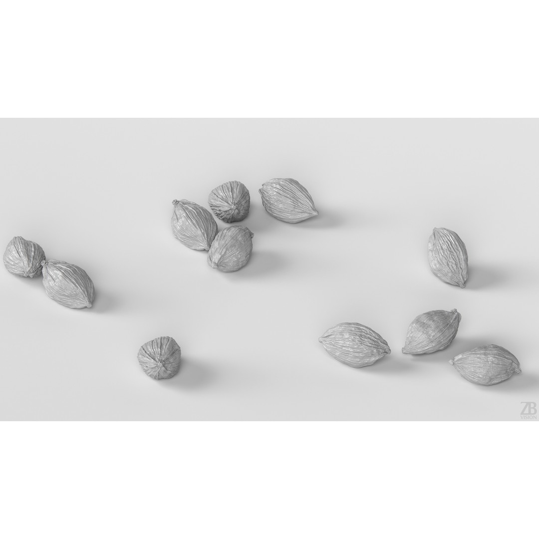 Cardamom 3D Model – Photorealistic Black Spice Asset, FBX, OBJ - View 5