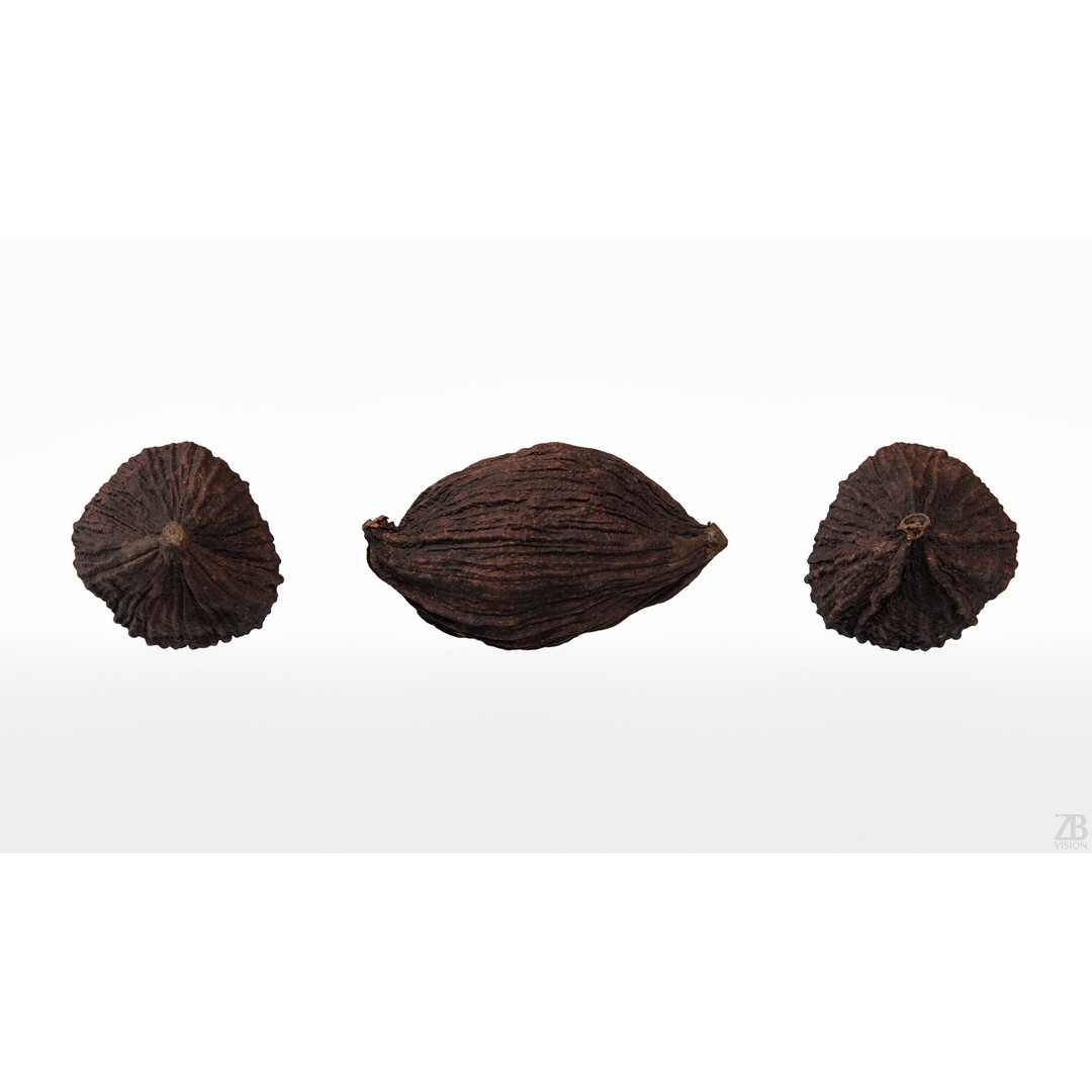 Cardamom 3D Model – Photorealistic Black Spice Asset, FBX, OBJ - View 6
