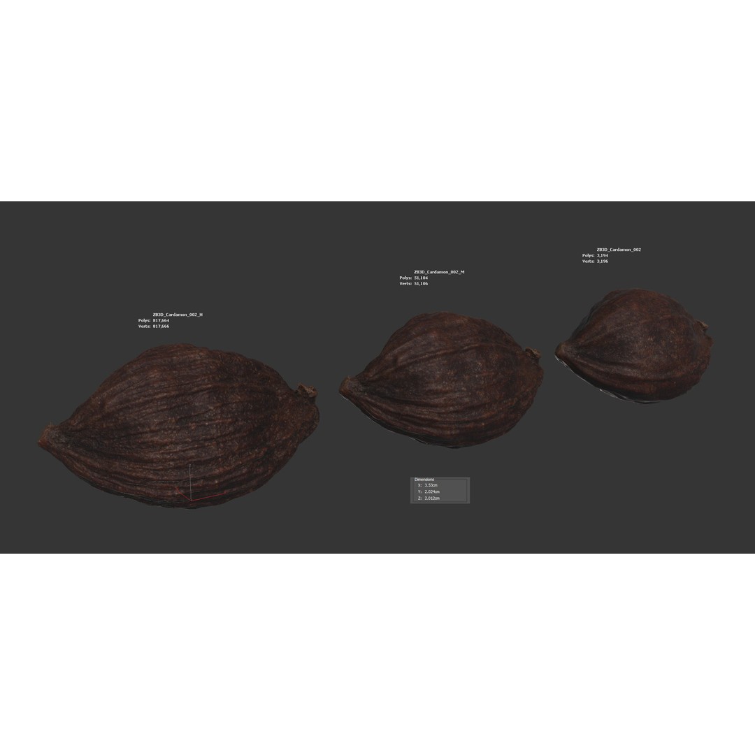 Cardamom 3D Model – Photorealistic Black Spice Asset, FBX, OBJ - View 7