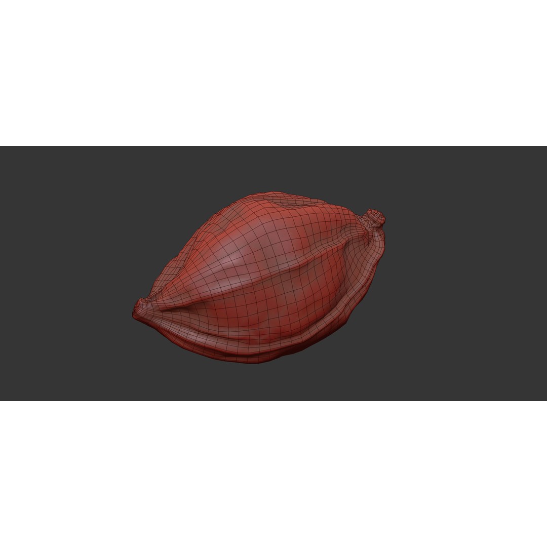 Cardamom 3D Model – Photorealistic Black Spice Asset, FBX, OBJ - View 8