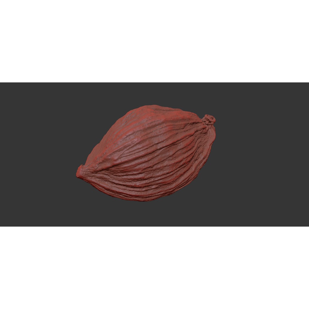 Cardamom 3D Model – Photorealistic Black Spice Asset, FBX, OBJ - View 9