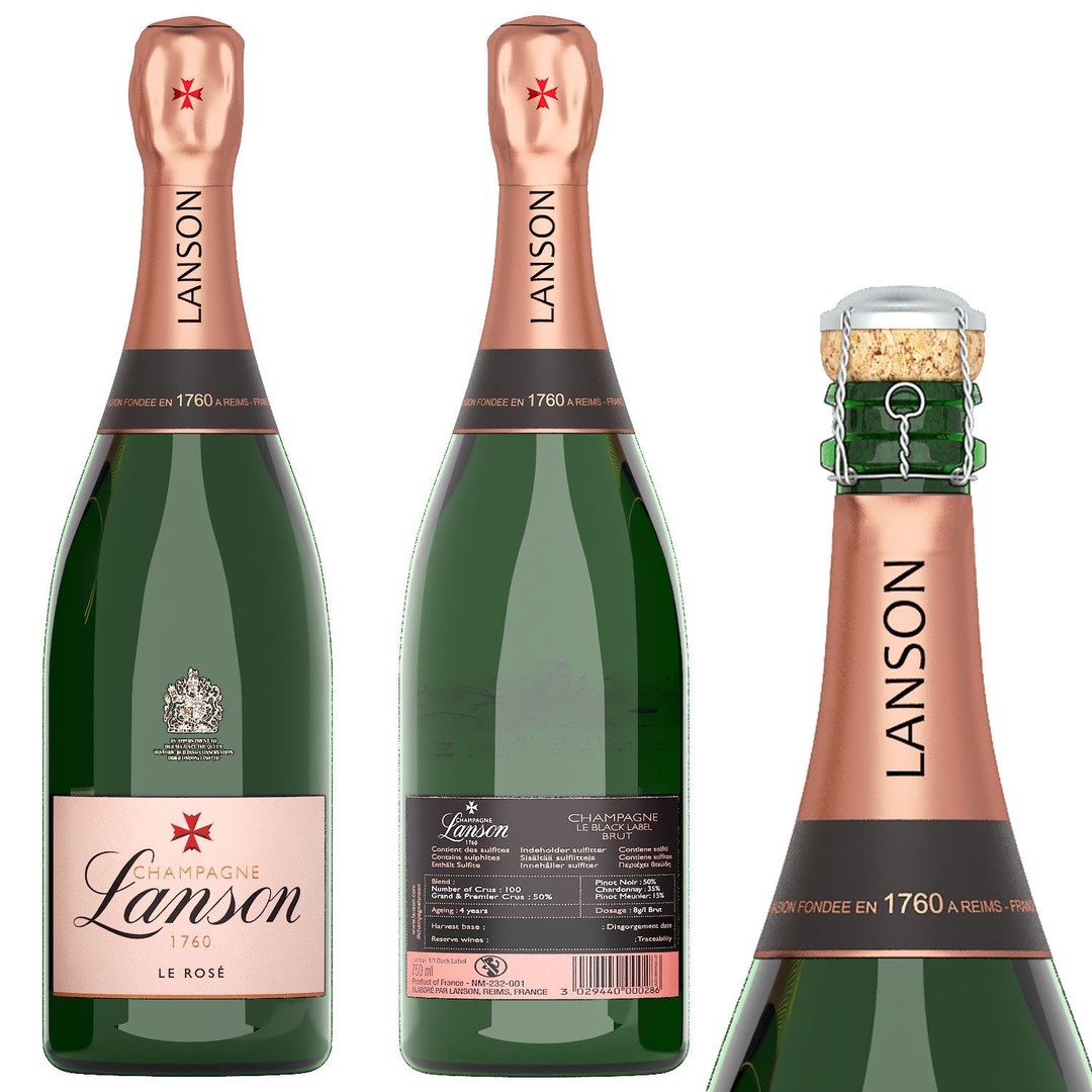 Champagne and Wine Bottles 3D Model – PBR Textured, OBJ & FBX Formats - View 6
