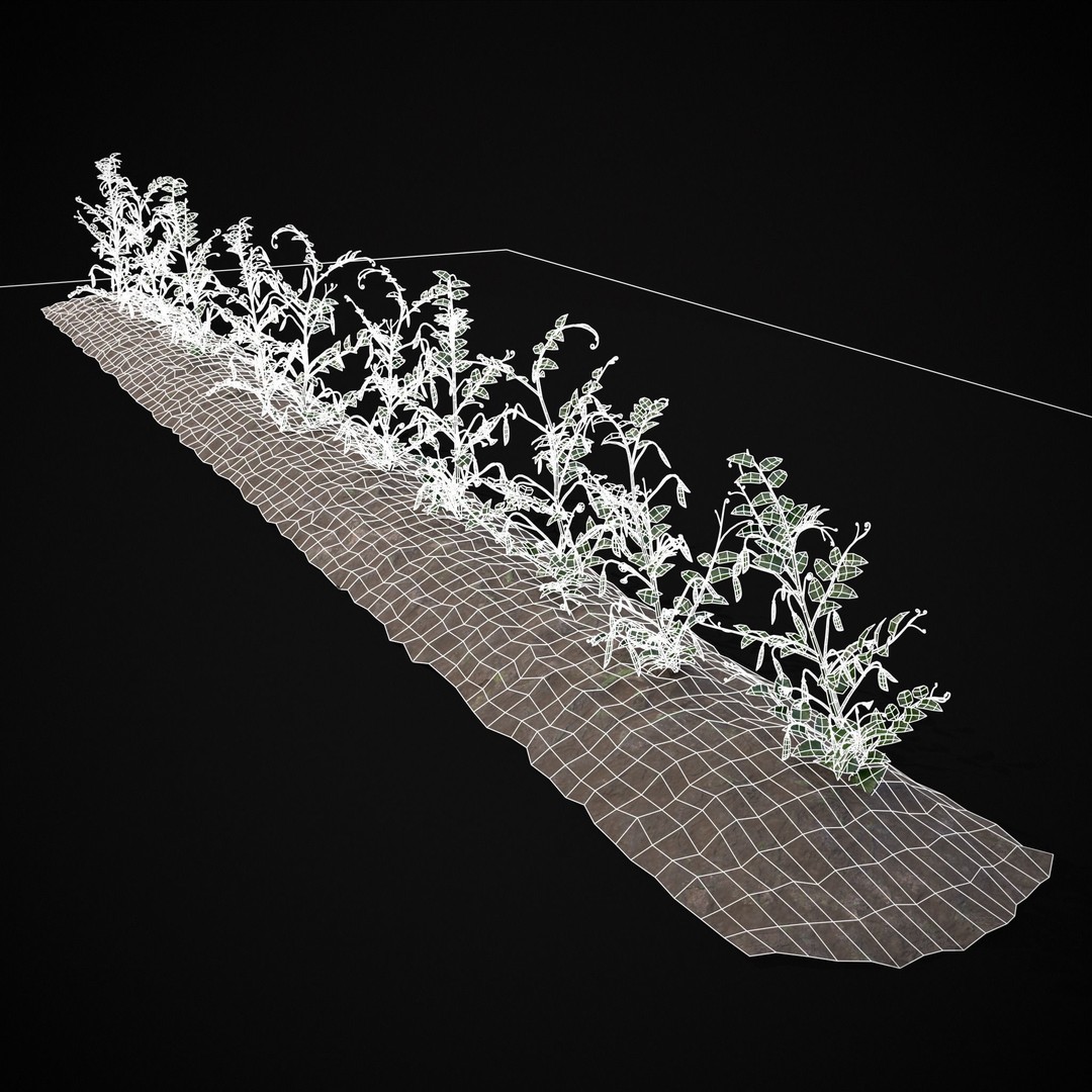 Crops Peas Plants 3D Model – Low Poly PBR Game Asset, FBX & OBJ - View 11