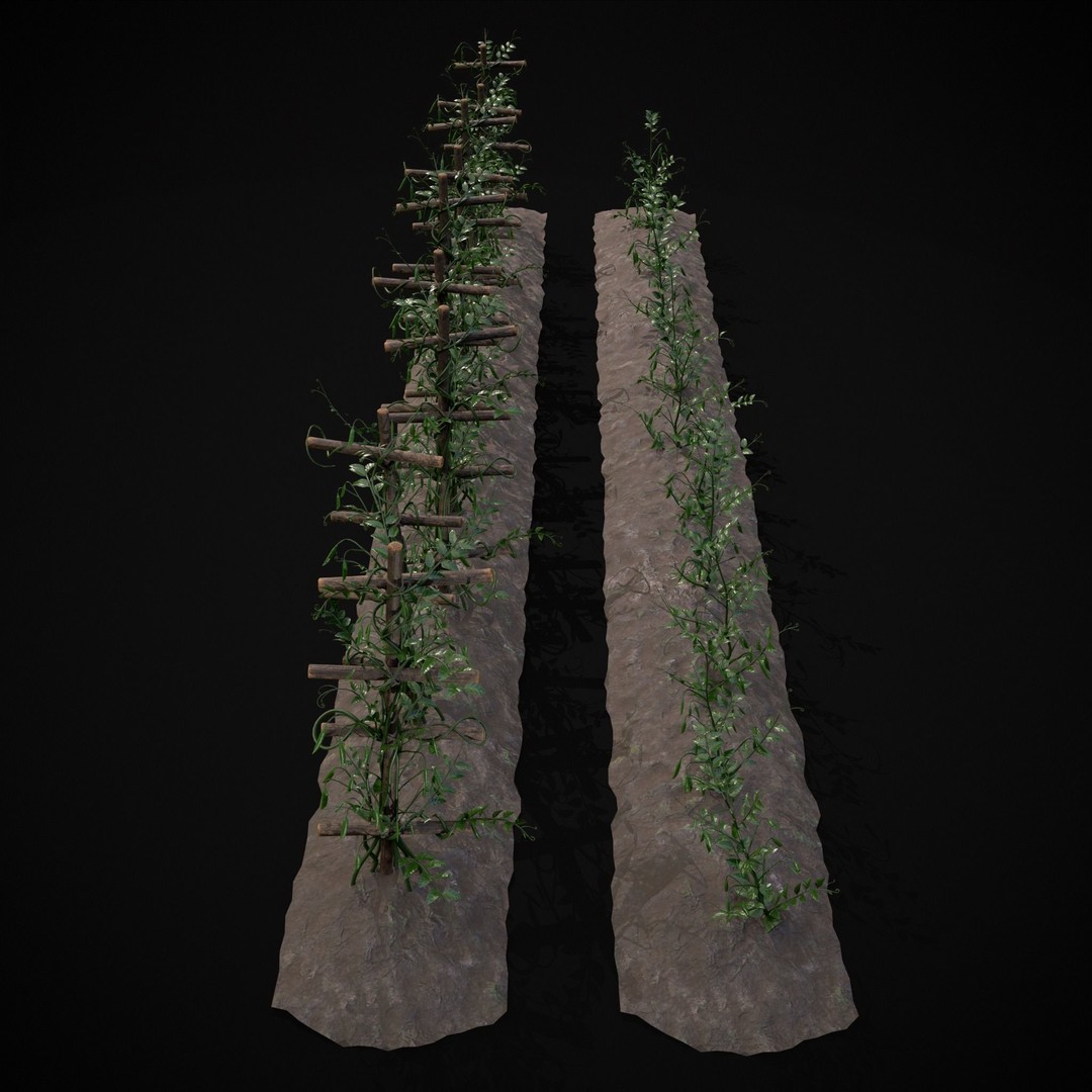 Crops Peas Plants 3D Model – Low Poly PBR Game Asset, FBX & OBJ - View 14