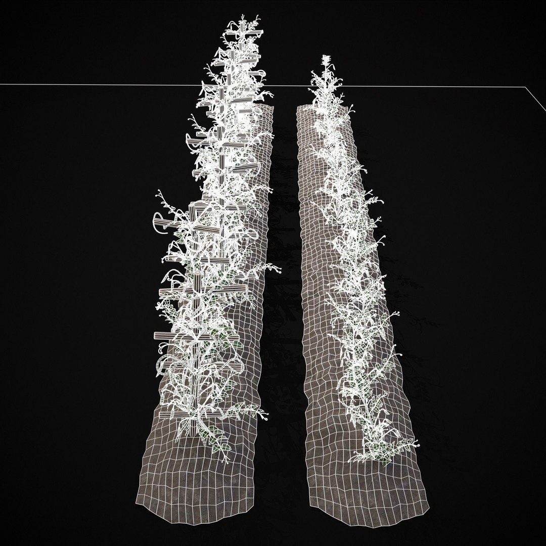 Crops Peas Plants 3D Model – Low Poly PBR Game Asset, FBX & OBJ - View 15