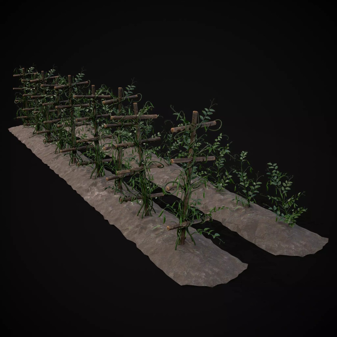 Crops Peas Plants 3D Model – Low Poly PBR Game Asset, FBX & OBJ - View 2