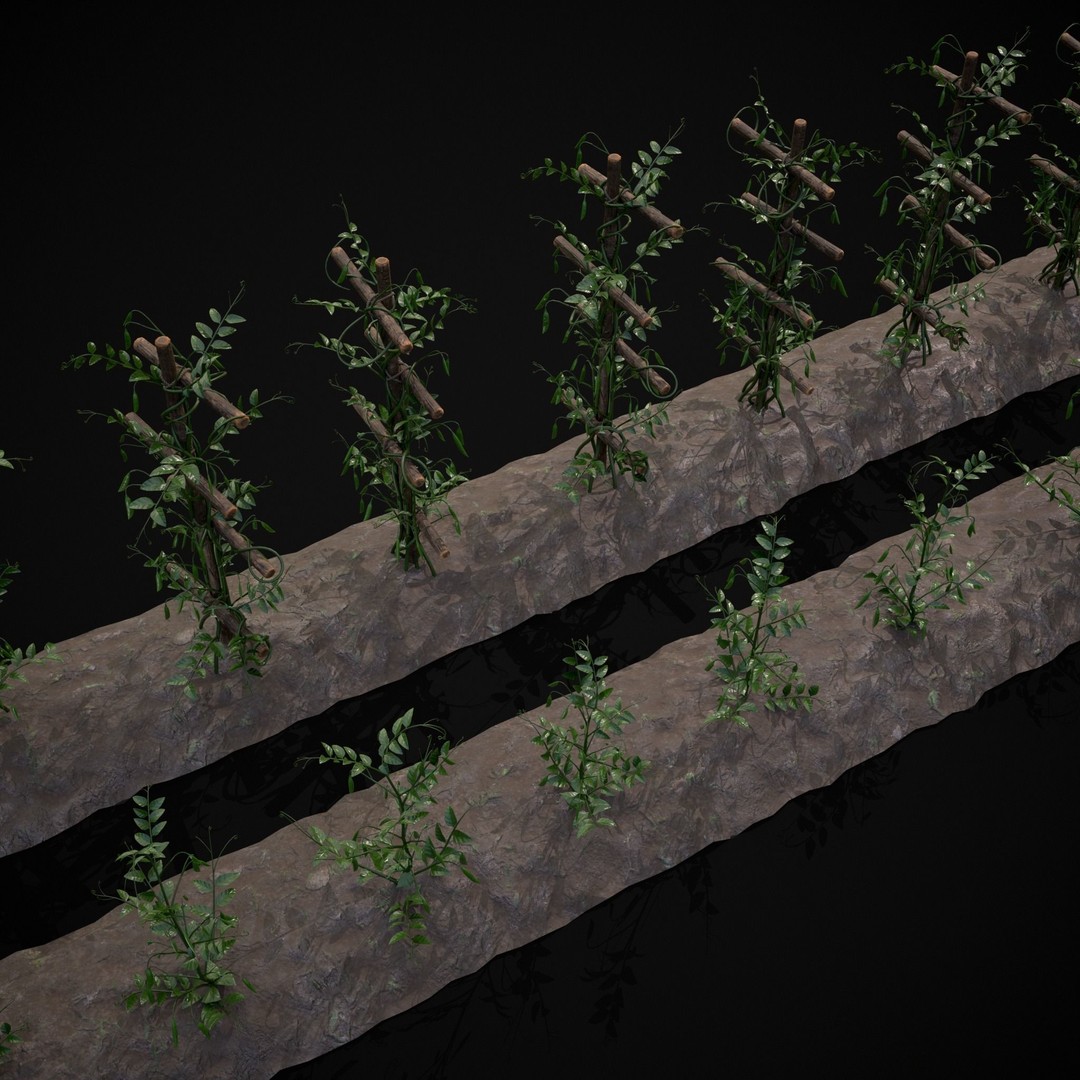 Crops Peas Plants 3D Model – Low Poly PBR Game Asset, FBX & OBJ - View 20